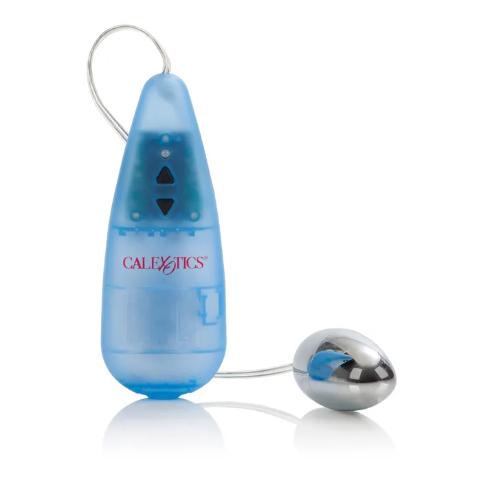 Vibrators CalExotics Impulse Pocket Paks Silver Egg